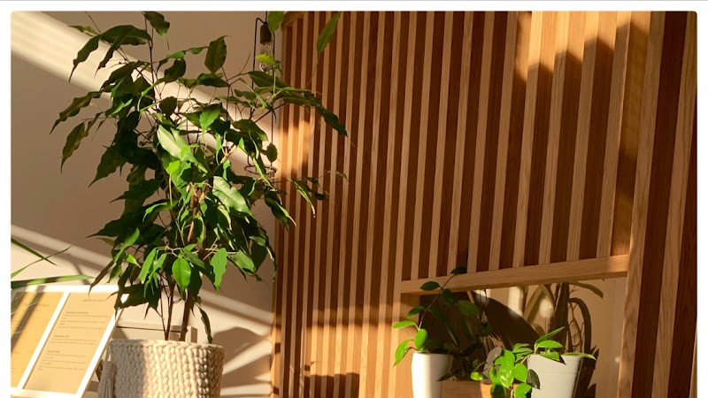 Forest Spa and Massage Warszawa - Day Spa in Warszawa