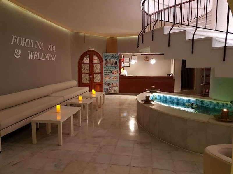 Fortuna Spa and Wellness Marmaris - Wellness Retreat in Marmaris