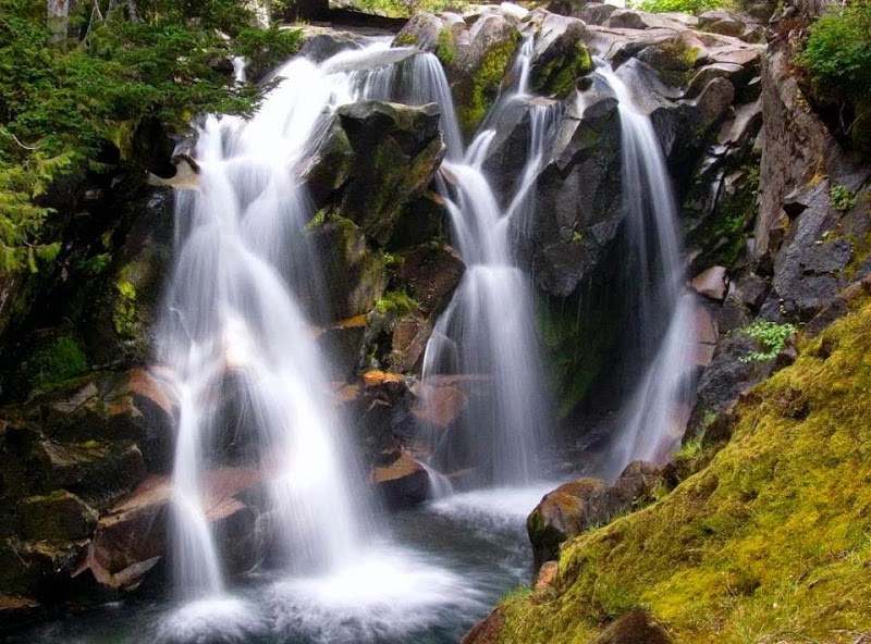 Freeborn Natural Health Federal Way - Day Spa in Federal Way