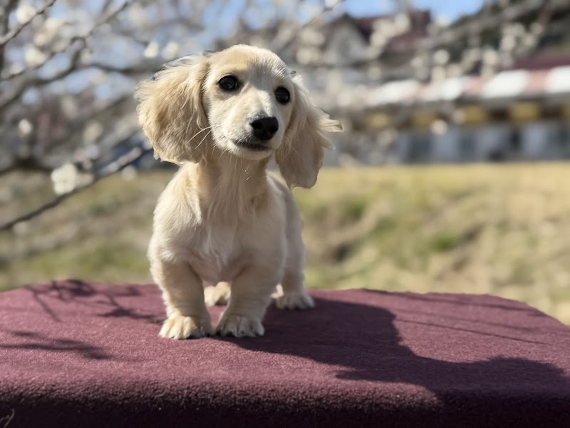 Fuji Earth Field Inusha Fujinomiya - Day Spa in Fujinomiya