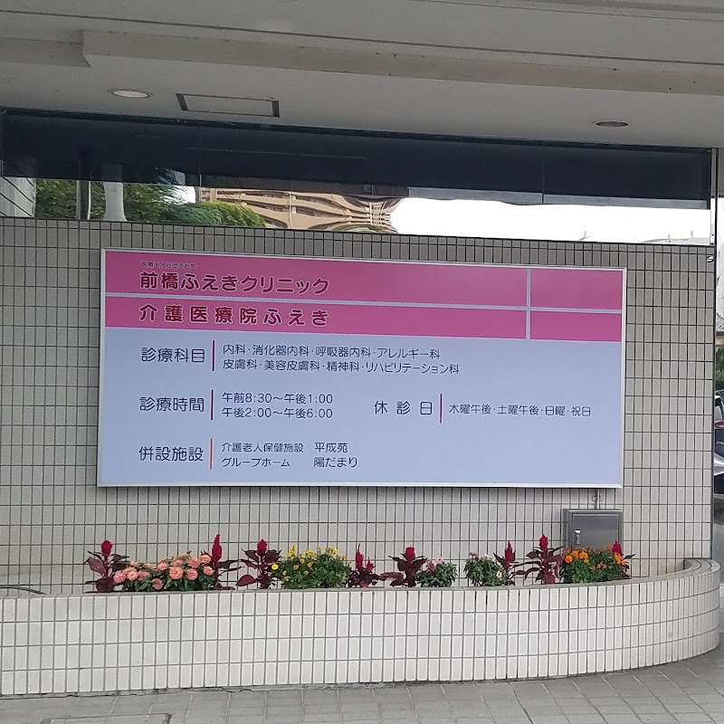 Furuichimachi Seitai Clinic Maebashi City - Day Spa in Maebashi City