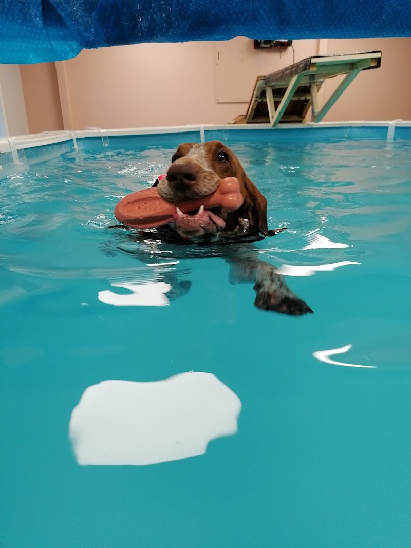 Fyra tassar i balans i Umeå AB Bygdeå - Day Spa in Bygdeå