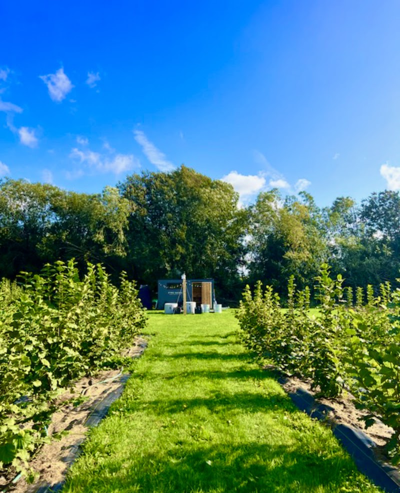 Fyre Sauna Redmond - Day Spa in Redmond