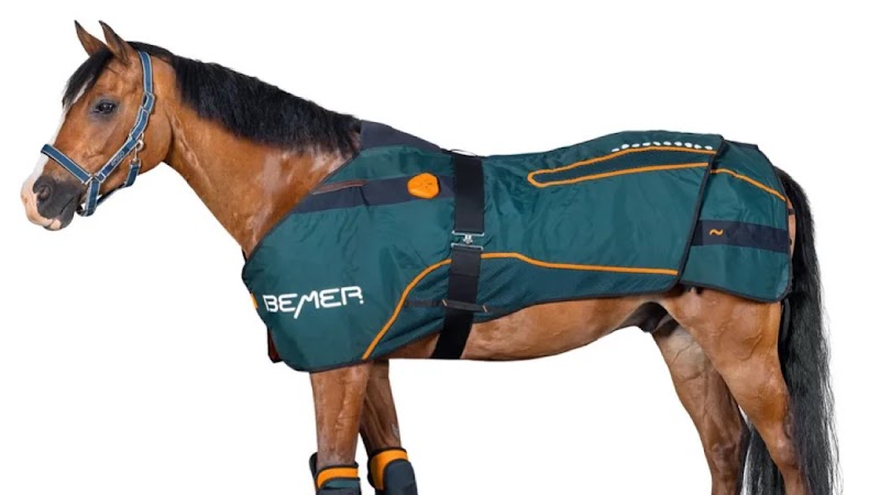 Fysiotherapie Ottevanger, Care for well-being Rotterdam - Day Spa in Rotterdam