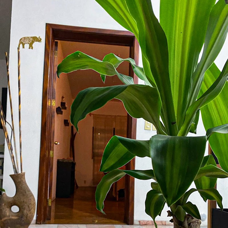 Galeana Spa & Relax Guadalajara photo