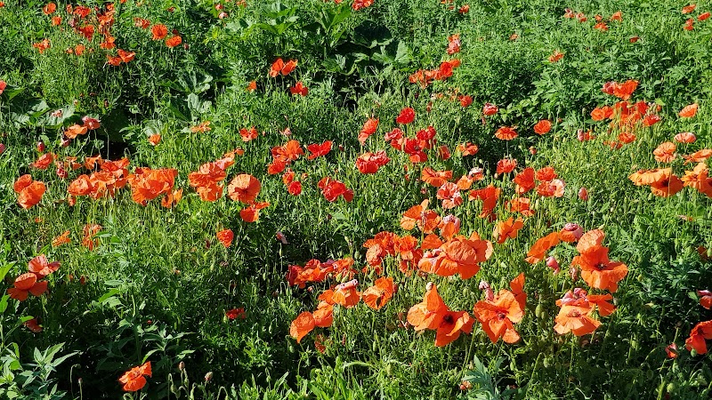 GBE Digi-Touch-Therapie Orbe - Day Spa in Orbe