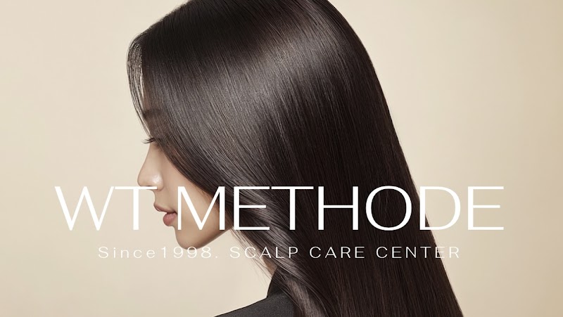 German Wt Method Hair Loss Clinic Seongnam City - Day Spa in Seongnam City