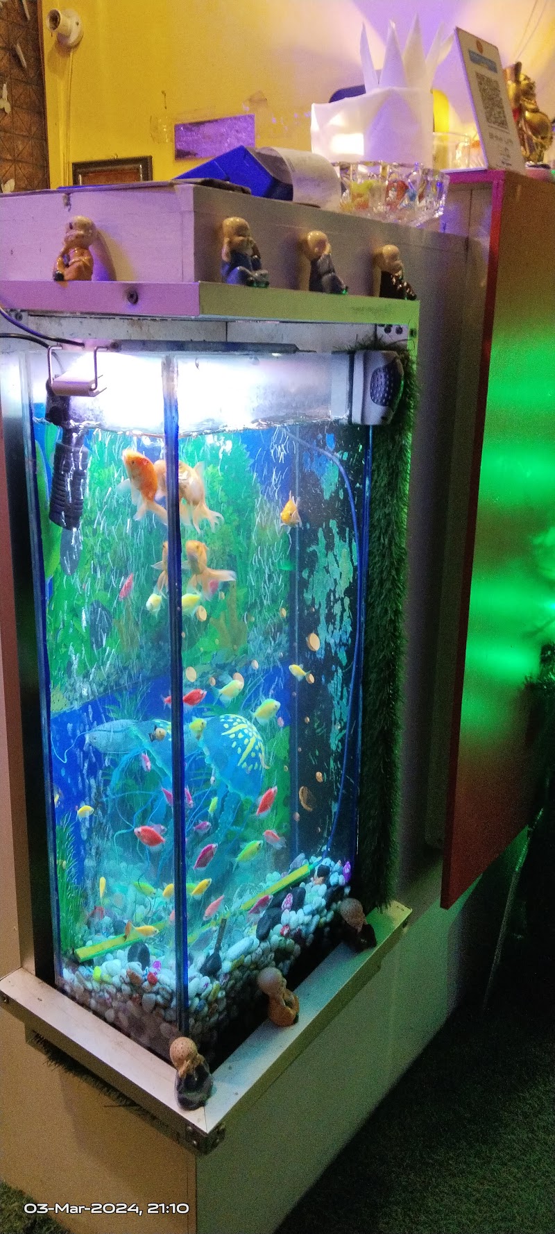 Get Pampered Wellness Spa Port Blair - Wellness Retreat in Port Blair