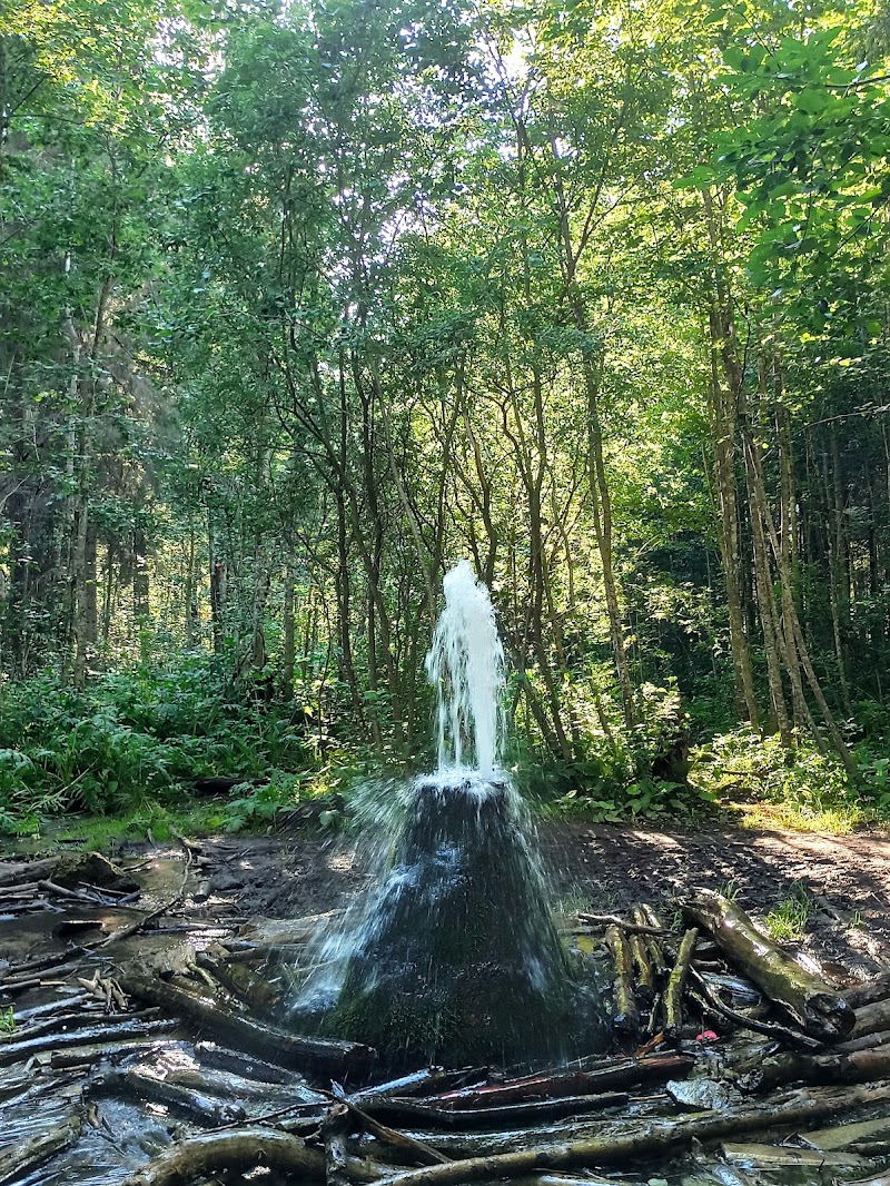 Geyzer Saint Petersburg - Day Spa in Saint Petersburg