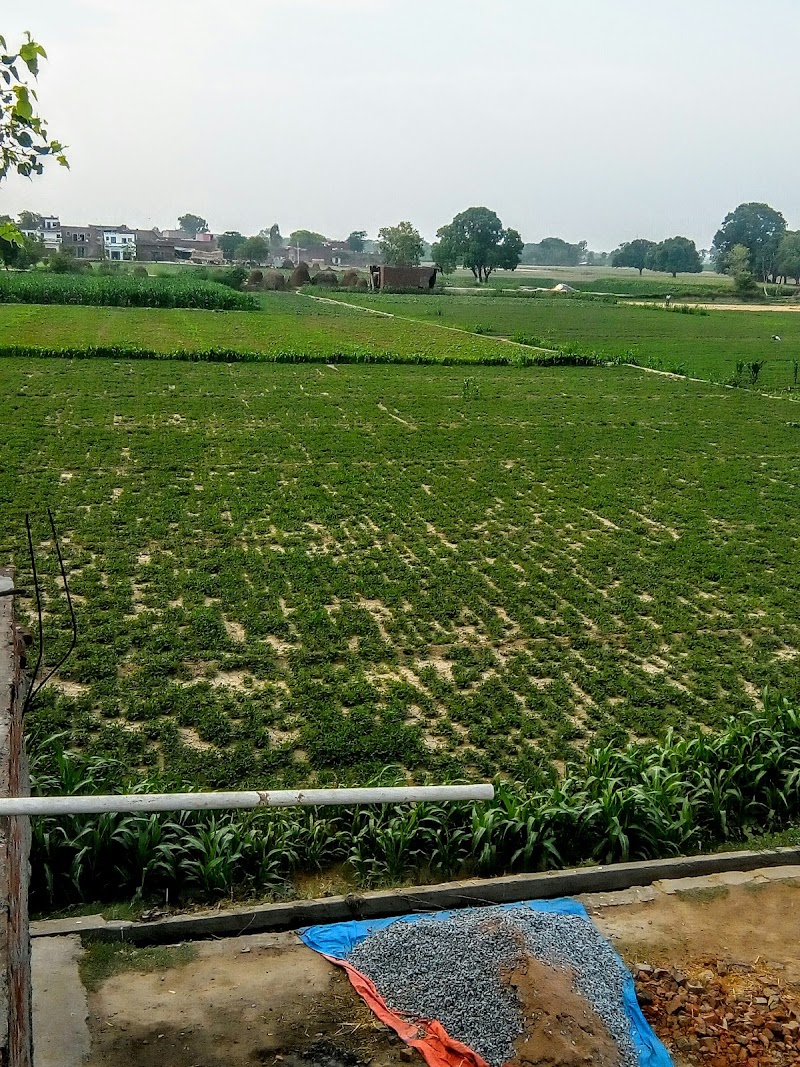 Ghiror Official Mainpuri Sub-District - Day Spa in Mainpuri Sub-District