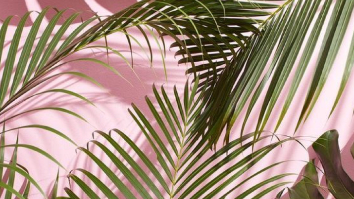 Glam Spa Beltsville - Day Spa in Beltsville