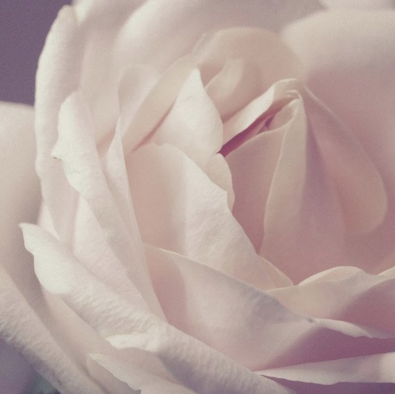 Glow by Kimber Havre - Day Spa in Havre