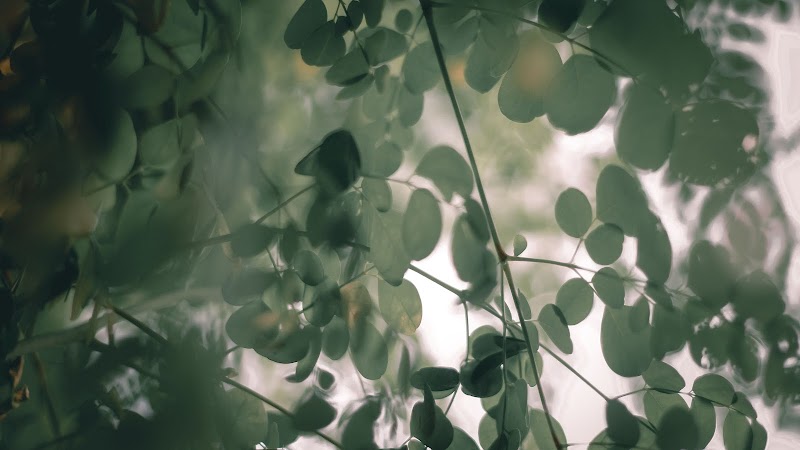 GLOW spa by Sunlife - Long Beach Mauritius