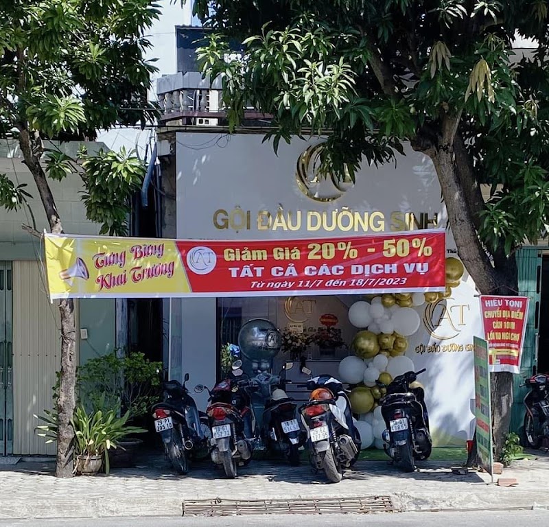 Gội đầu dưỡng sinh - Hải Trung Nam Định - Wellness Retreat in Nam Định