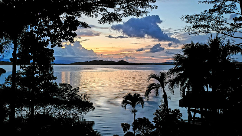 Green Acres Chocolate Farm Bocas del Toro