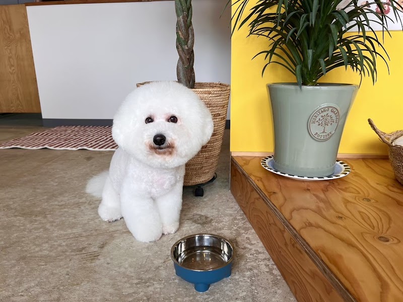 Grooming&spa Siesta Kiryu City - Day Spa in Kiryu City