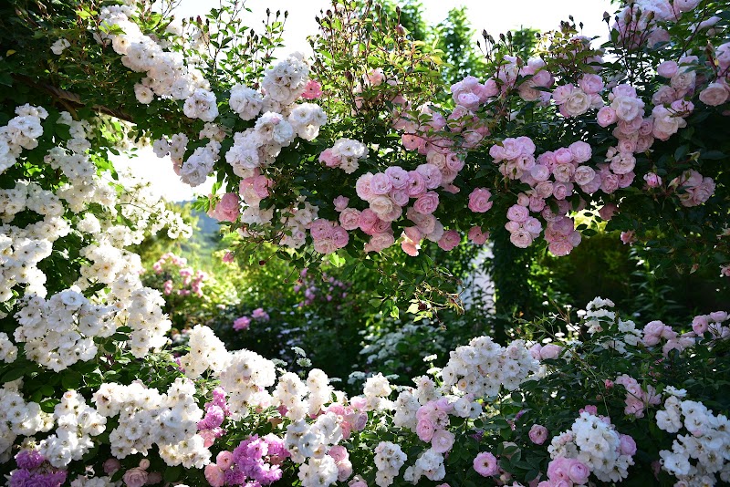 Gunma Prefecture Nakanojo Town (former Kukumura) Kyotsuka Onsen Agatsuma District, Nakanojo Town - Thermal Spa in Agatsuma District, Nakanojo Town