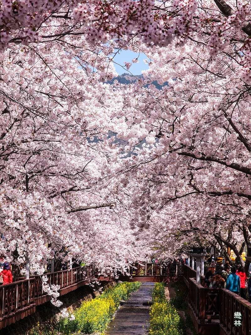 Gyobang Oncheon Masan Happo-gu - Day Spa in Masan Happo-gu