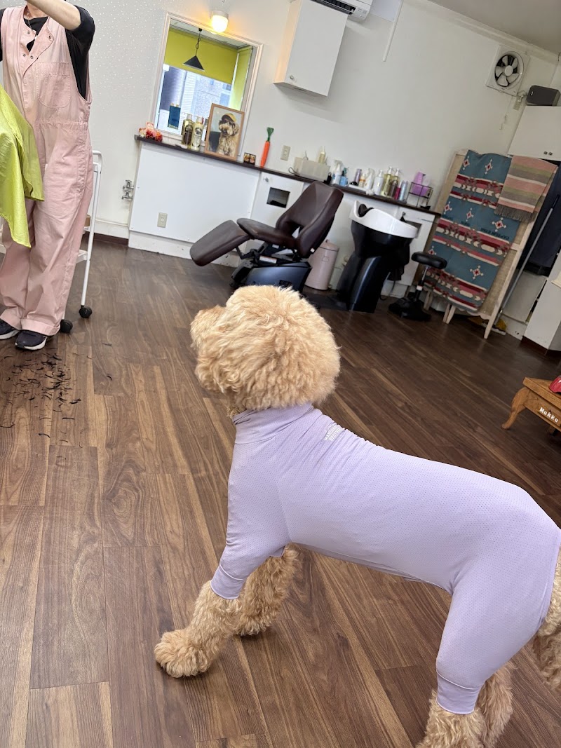 Hair Art Shop Olive Sapporo Chuo Ward - Day Spa in Sapporo Chuo Ward