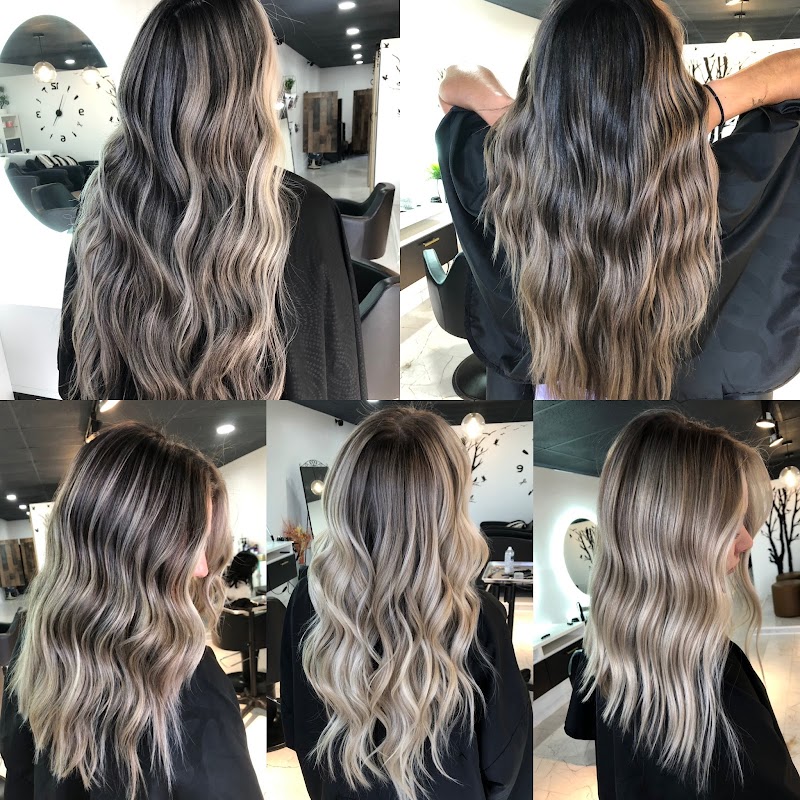 Hair Studio 1 TAMPA - Day Spa in TAMPA