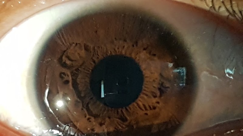 Halu Holistic Wellness Center Tuxtla Gutiérrez - Wellness Retreat in Tuxtla Gutiérrez