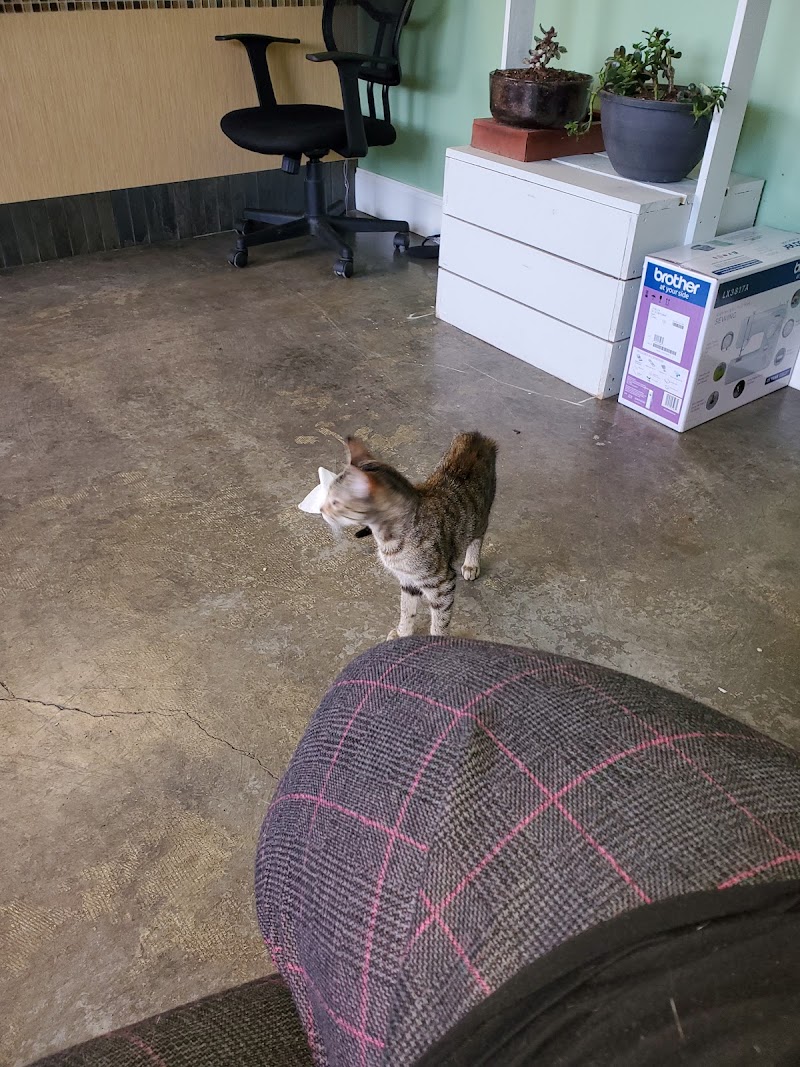 Hamilton Pet Resort & Spa West Columbia - Resort Spa in West Columbia