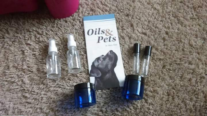 Hands Healing Hounds LLC St Cloud - Day Spa in St Cloud