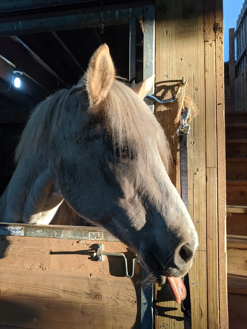 Hands to Hide Equine Harrisburg - Day Spa in Harrisburg