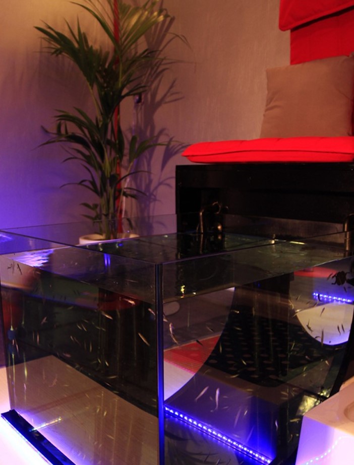 Happy Feet Fish Pédicure Sainte-Maure - Day Spa in Sainte-Maure