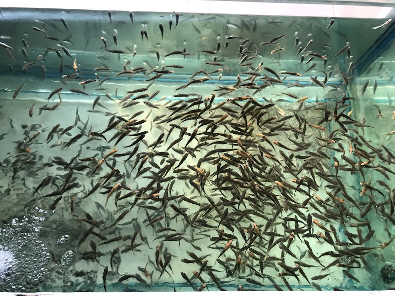 Happy Feet Phra Nakhon Si Ayutthaya - Day Spa in Phra Nakhon Si Ayutthaya