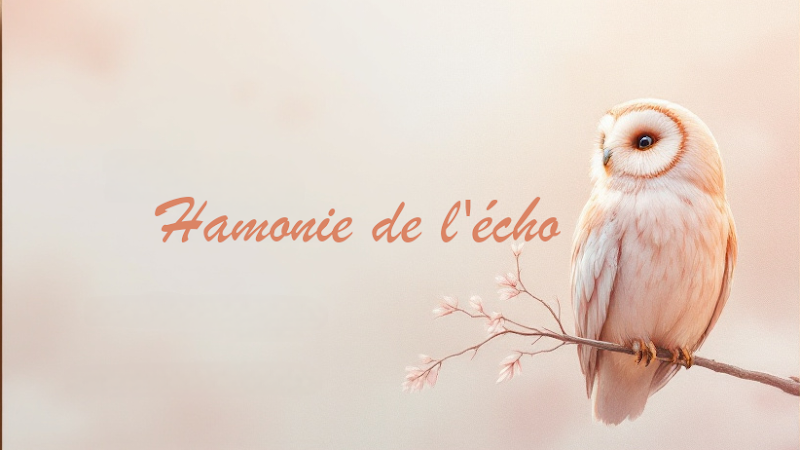 Harmonie de l'echo Chauzon - Wellness Retreat in Chauzon