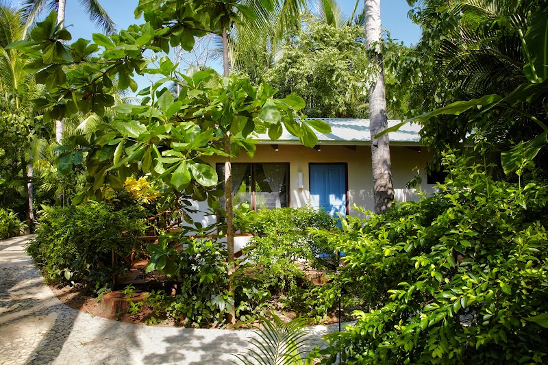 Harmony Healing Centre Nosara - Day Spa in Nosara