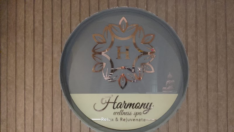 Harmony Wellness Spa Chennai
