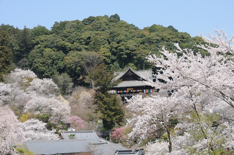 Hasedera Onsen Sakurai City - Thermal Spa in Sakurai City