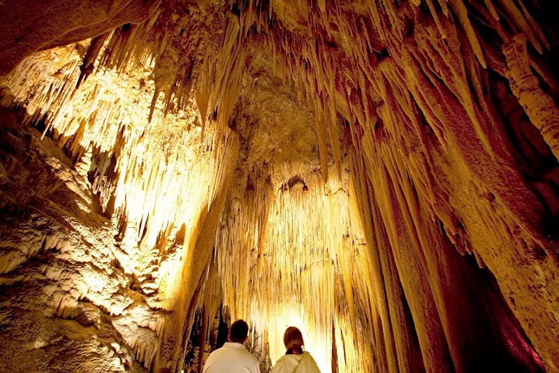 Hastings Caves and Thermal Springs Tasmania - Thermal Spa in Tasmania