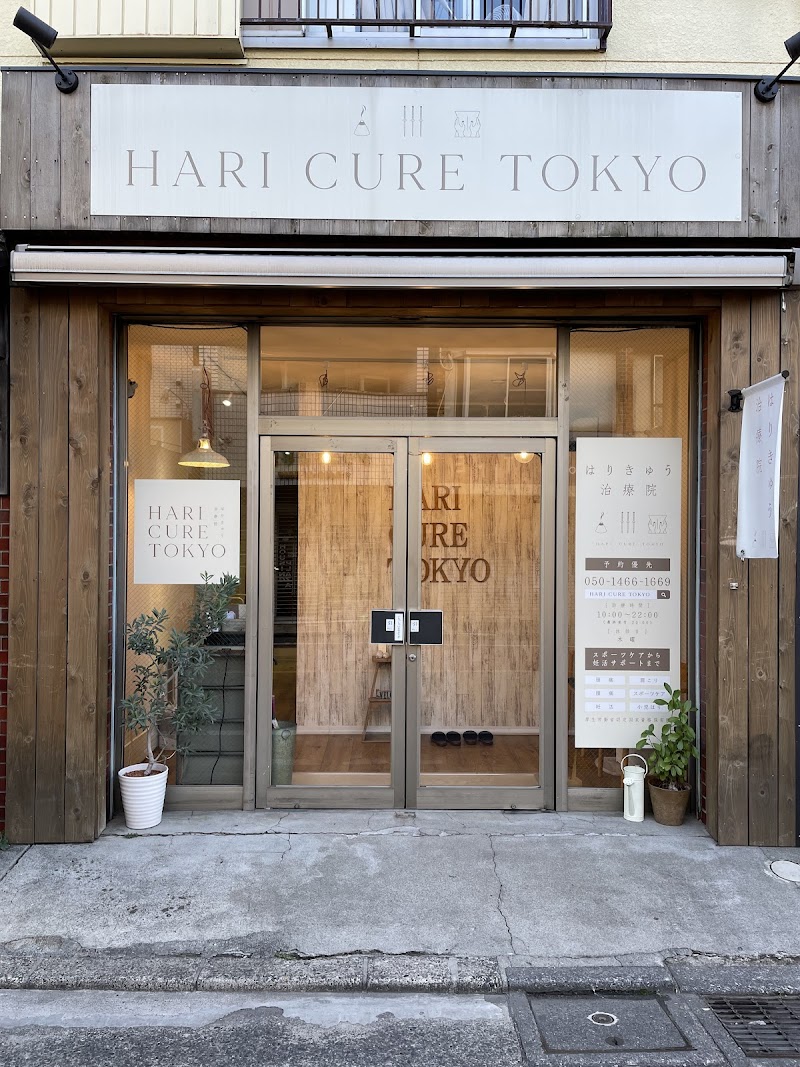 Hattori Osteopathic Clinic Iguchi Branch Mitaka City - Day Spa in Mitaka City