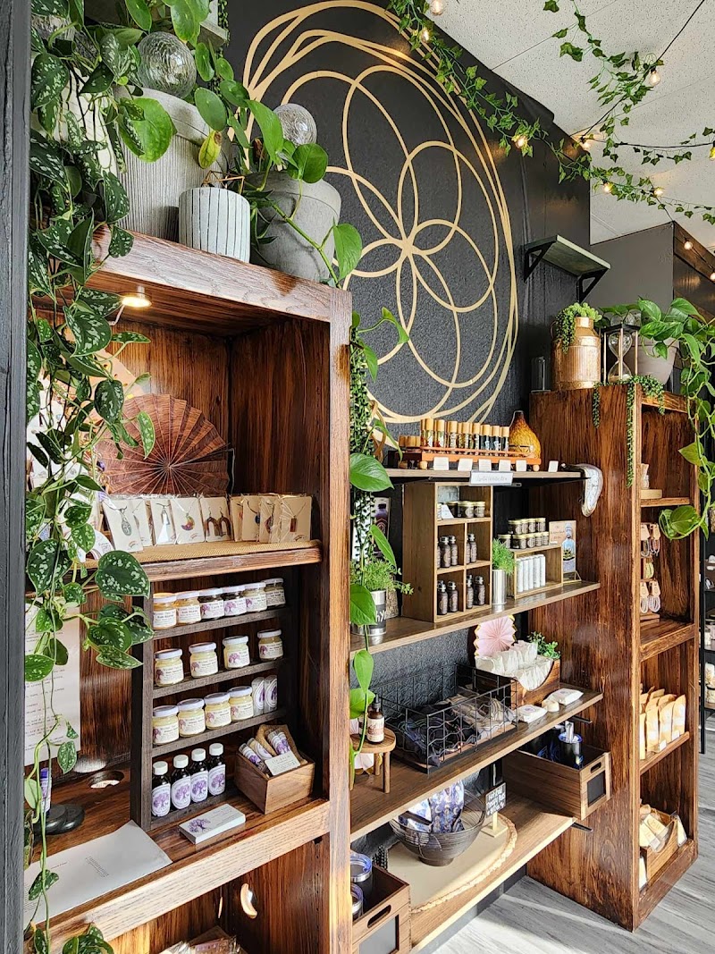 HAVEN Mind Body Collective Longview - Day Spa in Longview