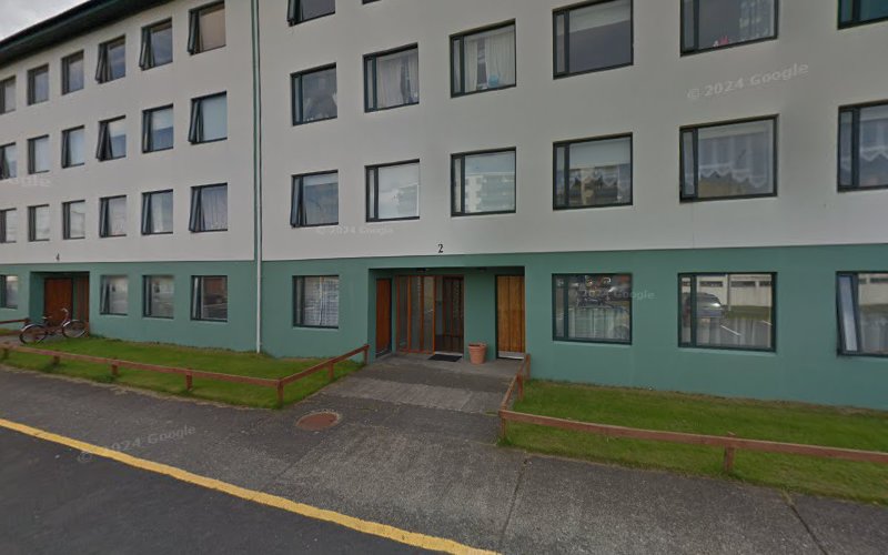 Healing Joy Reykjavíkurborg