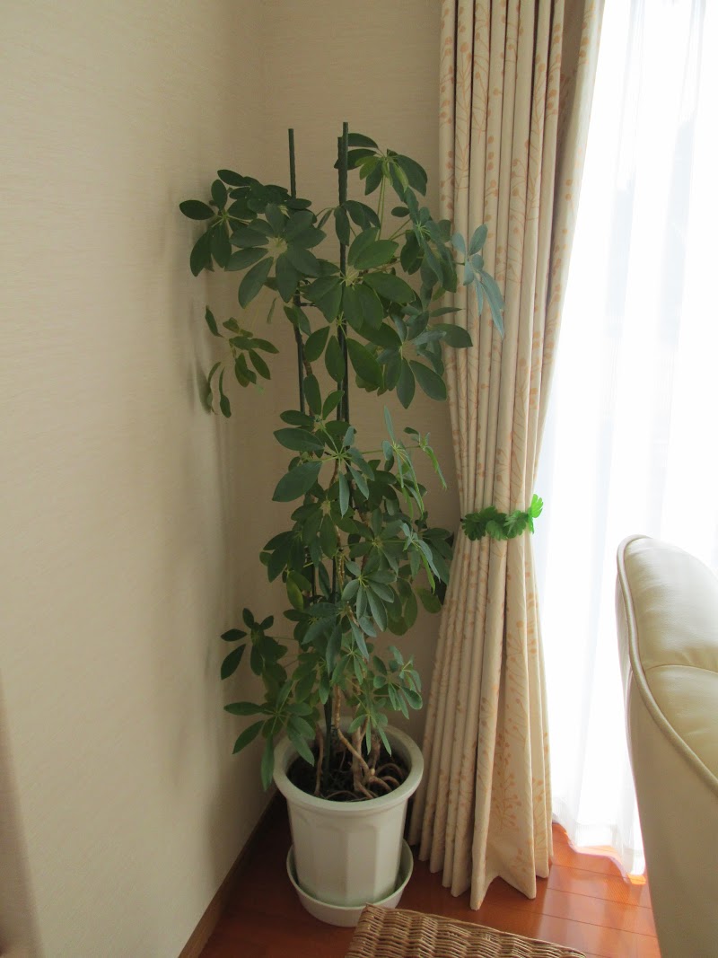 Healing Room Shanti Nagano - Day Spa in Nagano