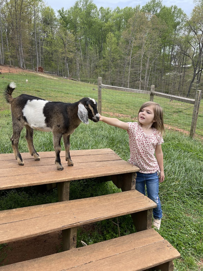 Heaven Sent Goat Milk Soap and Bath Products Greenville - Day Spa in Greenville