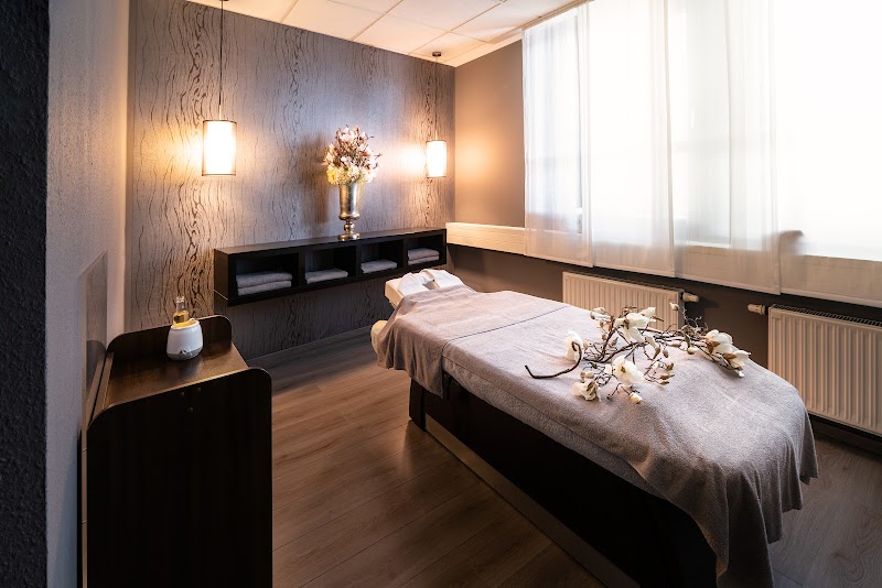 Heide Spa Hotel & Resort Leipzig - Medical Spa in Leipzig