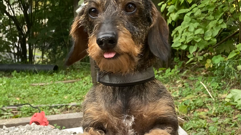 HierontaVoima Raisio - Day Spa in Raisio