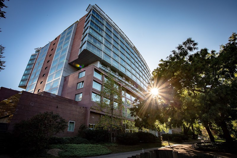 Hilton Frankfurt City Centre - Hotel Spa in Frankfurt