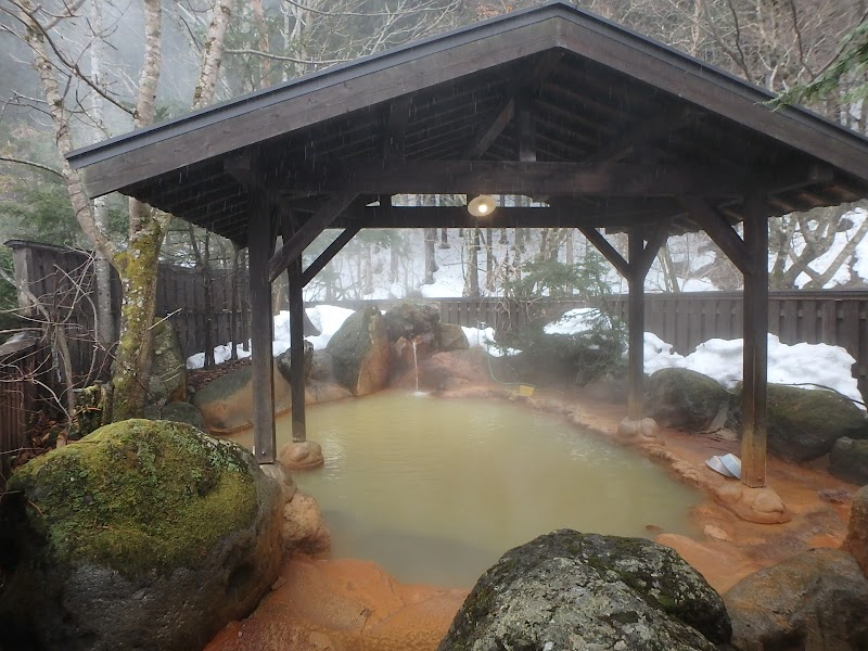 Hirayu Onsen Kami no Yu Takayama-shi - Thermal Spa in Takayama-shi