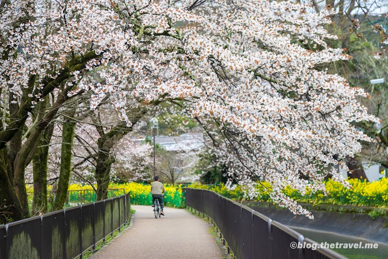 Hohoemi Ganbanyoku Kyoto City Yamashina Ward - Day Spa in Kyoto City Yamashina Ward
