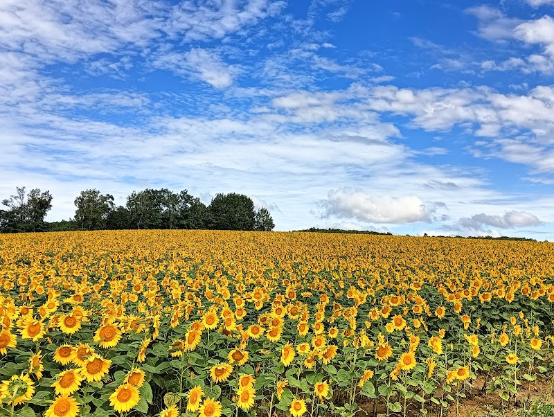 Hokuryu Onsen Uryu District Hokuryu Town - Thermal Spa in Uryu District Hokuryu Town