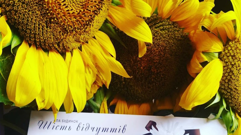 Home Spa Six Senses Bila Tserkva Raion - Day Spa in Bila Tserkva Raion