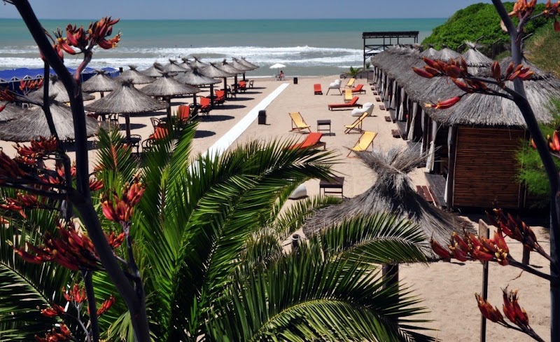 Honu Beach Mar del Plata photo