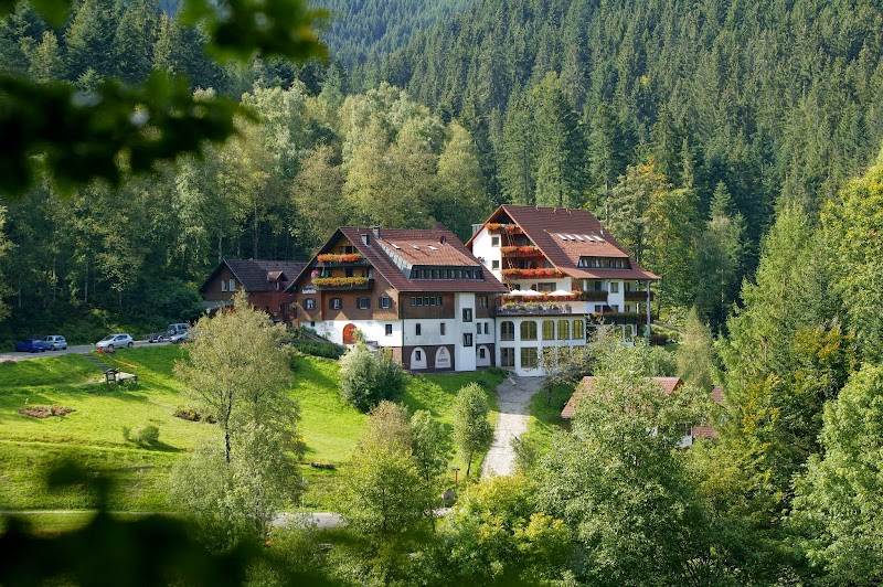 Hotel Forsthaus Auerhahn Black Forest - Hotel Spa in Black Forest