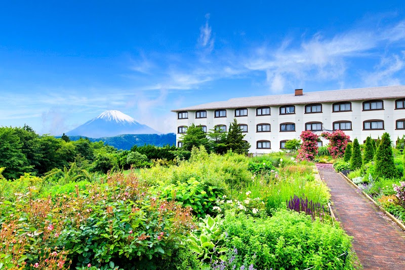 Hotel Green Plaza Hakone - Thermal Spa in Hakone